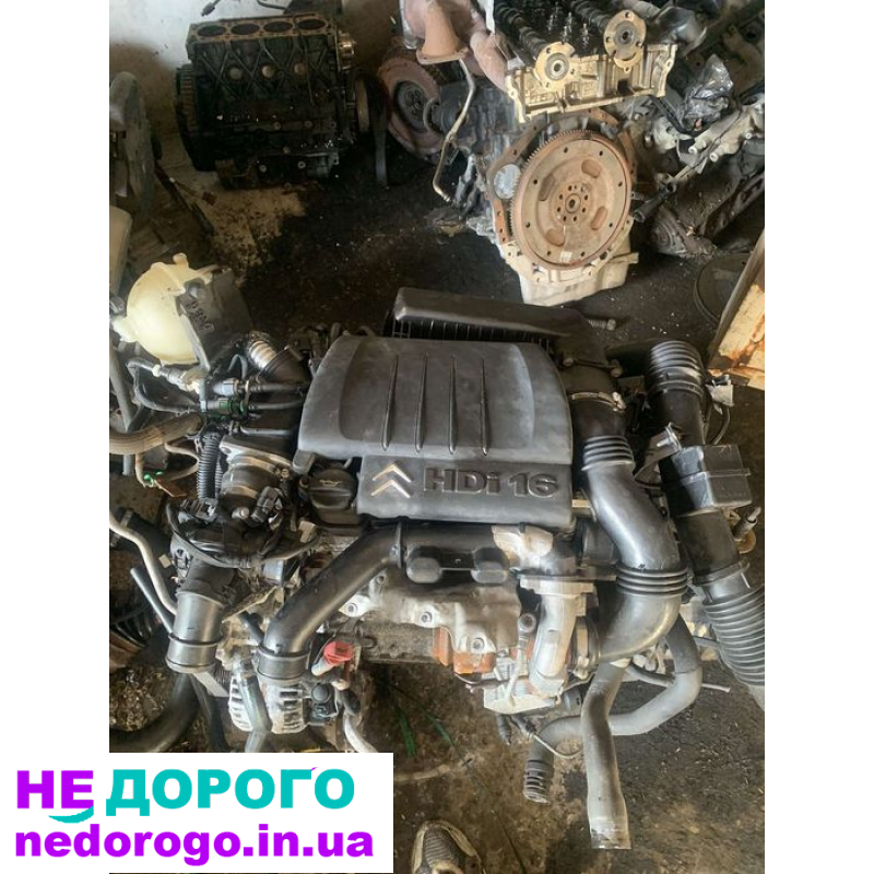 Двигун 1.6 HDI CITROEN DV6TED4, 2004, 1560 см³, дизель.
