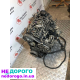 Двигун 1.6 TDI (CAY) Volkswagen Caddy Passat B6 Golf 6 Skoda Octavia A5 Fabia, 2009-2014, дизель.