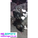 Двигун 1.8 dci для Ford Focus, 2008 рік, дизель, в комплекті турбіна, форсунки, масляний насос. Доставка по Україні.