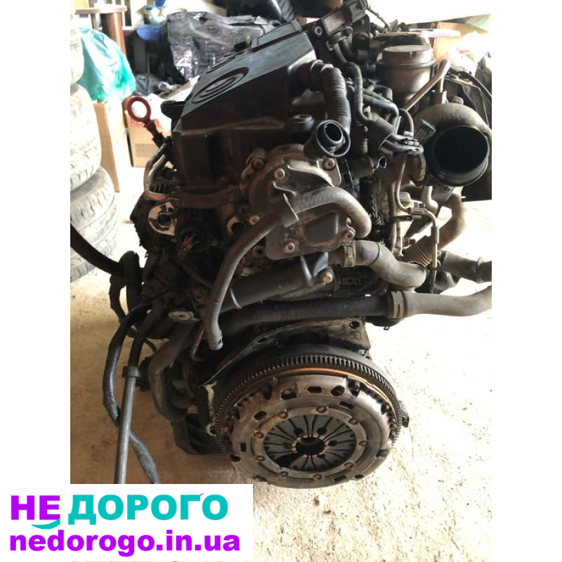 Двигун 1.9 BLS для Passat B6, Caddy, Audi Touran 2005, 77 кВт, дизель.