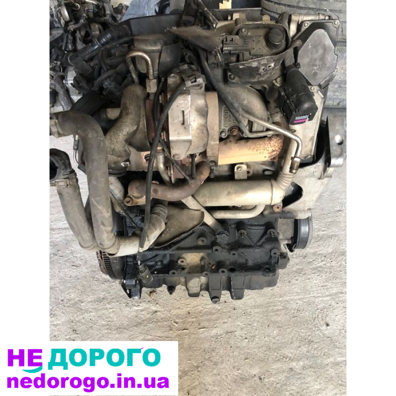 Двигун 1.9 BLS для Passat B6, Caddy, Audi Touran 2005, 77 кВт, дизель.