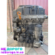 Двигун 1.9 BLS для VW Passat B6, Golf 5, Jetta 5, Touran, Caddy, Skoda, Seat. Об'єм - 1.9 л, дизельне паливо.