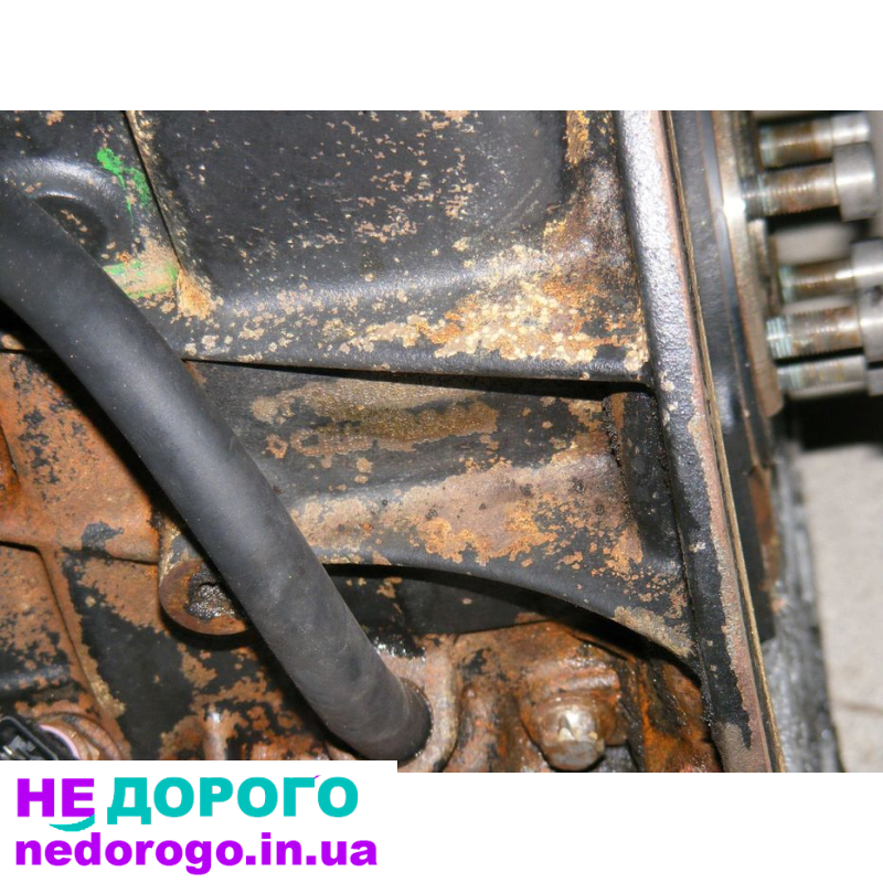 Двигун Renault Scenic II 1.9 DCI F9Q812, 2003 рік, дизель, об'єм 1.9 л.