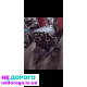 Двигун Renault Laguna 1.9dti 1999-2000р, 1.9л, дизель.