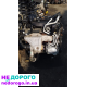 Двигун Renault Trafik Opel Vivaro 1.9, 2001, дизель, 1.9 л.