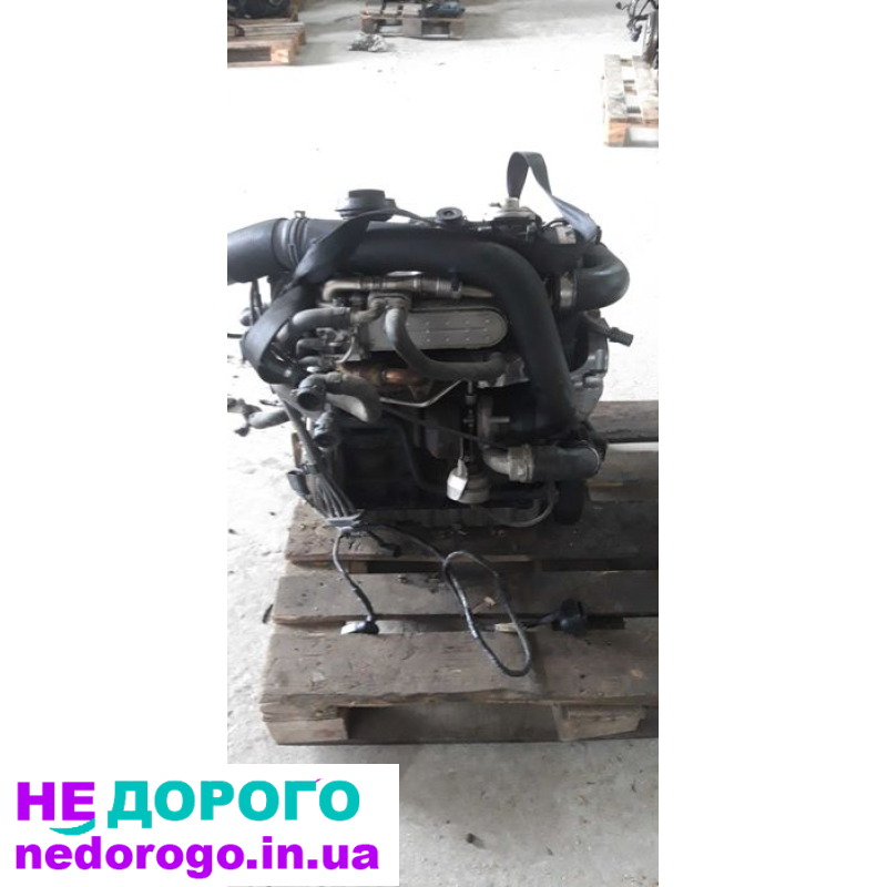 Двигун 1.9TDI (AVQ) Volkswagen Touran, Golf, Skoda, 2003-2009, 1.9 л, дизель.