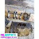 Двигун Peugeot DW10ATED4, 1.9 л, дизель, 2006 р.в.