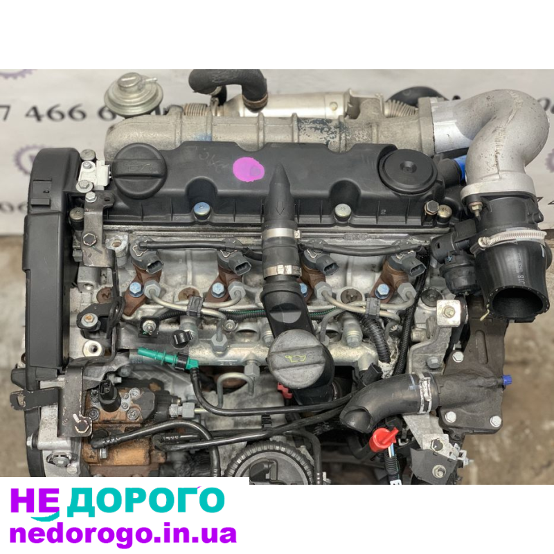 Двигун 2.0 для Фіат, Сітроен, Пежо, Сузукі. Модель: 2.0L. Рік випуску: 2020. Об'єм двигуна: 2.0 літра. Паливо: бензин.