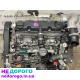 Двигун 2.0 для Фіат, Сітроен, Пежо, Сузукі. Модель: 2.0L. Рік випуску: 2020. Об'єм двигуна: 2.0 літра. Паливо: бензин.