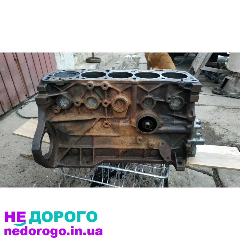 Двигун Audi 2.3 бензин, 2020, об'єм 2.3 л.