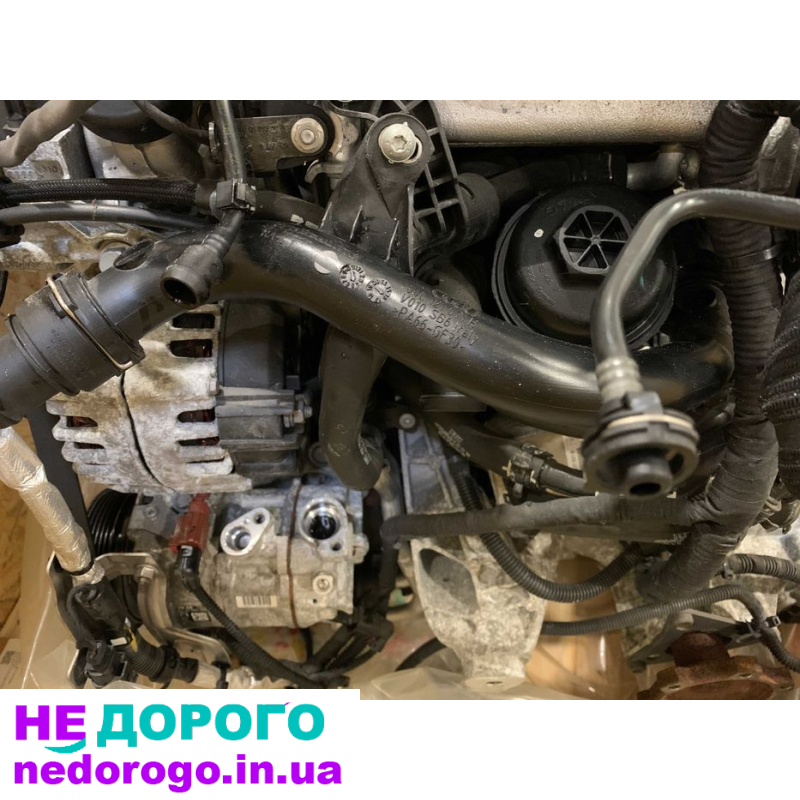 Двигун Audi 2.0 TDI CNH CNHA 140 KW 190 к.с. АКПШ DSG 7 (RLB) 2019 2.0 TDI Дизель.