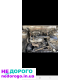 Двигун Mazda 626 GC, GD 2.0, 1987-1992, бензин, 2.0 л.