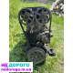 Двигун Honda D16A9 1,6 131 к.с. для Civic/CRX, випущений в Україні.