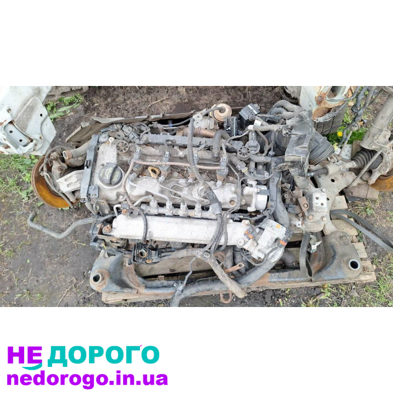 Двигун дизель для Kia, Hyundai G4KD, D4FB, 2008-2019, 1.6-2.0 л, паливо - дизель.