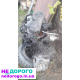 Двигун дизельний Ford Focus 1.8TDCi 2002р.в., об'єм 1.8л.
