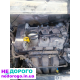 Двигун Skoda Citigo 1.0 MPI 2019 1.0 л бензин
Двигун Settigo 1.0 MPI 2018 1.0 л бензин
Двигун Volkswagen UP 1.0 MPI 2017 1.0 л бензин
Двигун Seat MII 1.0 MPI 2016 1.0 л бензин