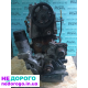Двигун Hyundai G4KD 2.0, 2010 рік, бензиновий, об'єм 1998 см³.