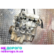 Двигун Honda D16W5 D16V1 1.6 16V, випущений для HR-V та Civic Euro 3, працює на бензині.