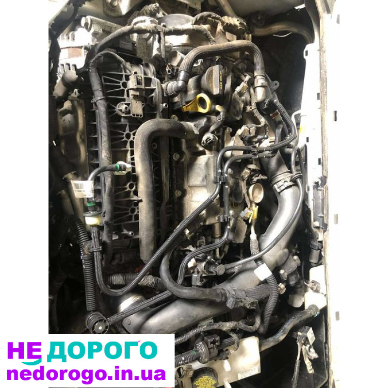 Двигун Ford Escape 1.6/1.5/2.0 (2012-2022) бензиновий.