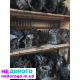 Двигун Opel Z17DTH, 2004, 1.7 л, дизель.