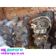 Двигун Z19DTH Opel Astra H 2004 1.9 л дизель.