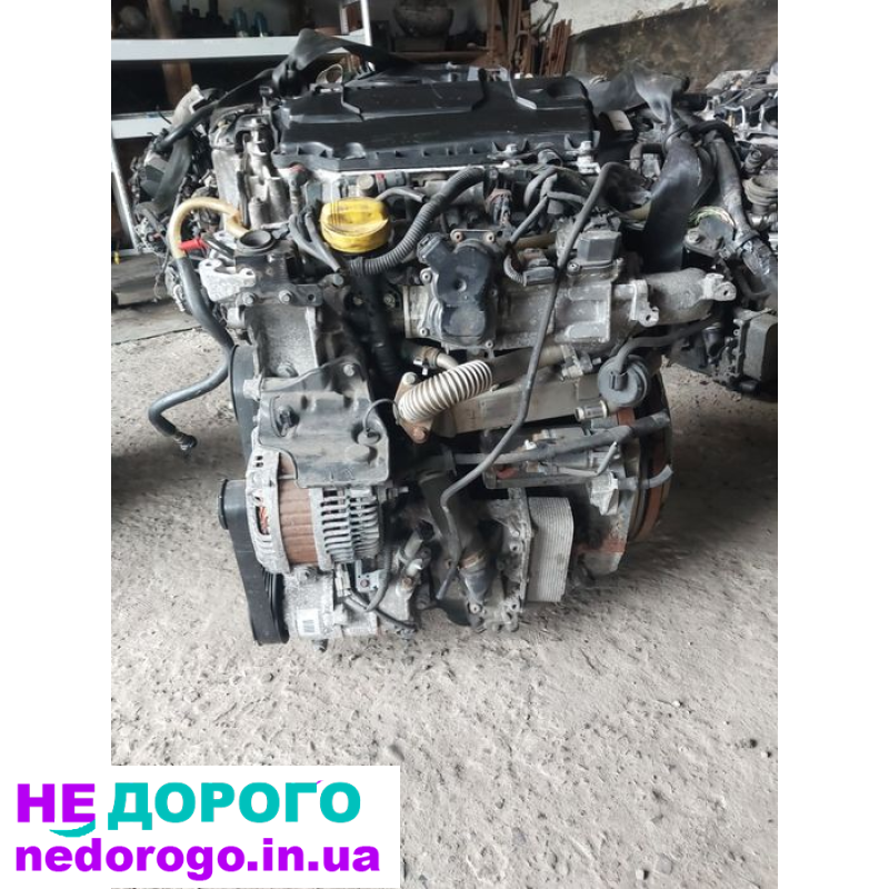 Двигун Renault 1.9dci M9R, 2005, 1.9 л дизель. Двигун Renault 2.0dci F9Q, 2010, 2.0 л дизель.