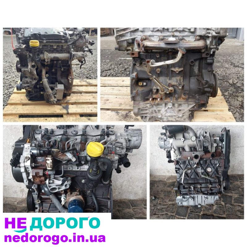 Двигун Renault 1.9dci M9R, 2005, 1.9 л дизель. Двигун Renault 2.0dci F9Q, 2010, 2.0 л дизель.