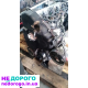 Двигун F9Q 1.9 DCI Renault Laguna, Trafic, Vivaro, Primastar. 2001-2009, 1.9 л, дизель.