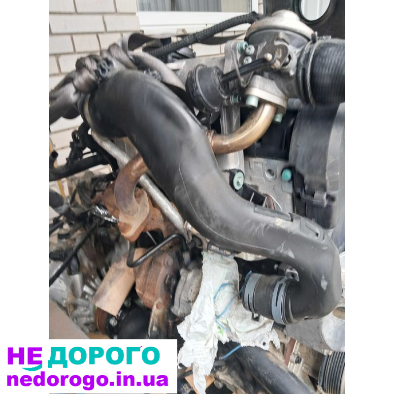 Двигун Volkswagen Golf 4 ATD 2002 1.9 л дизель.