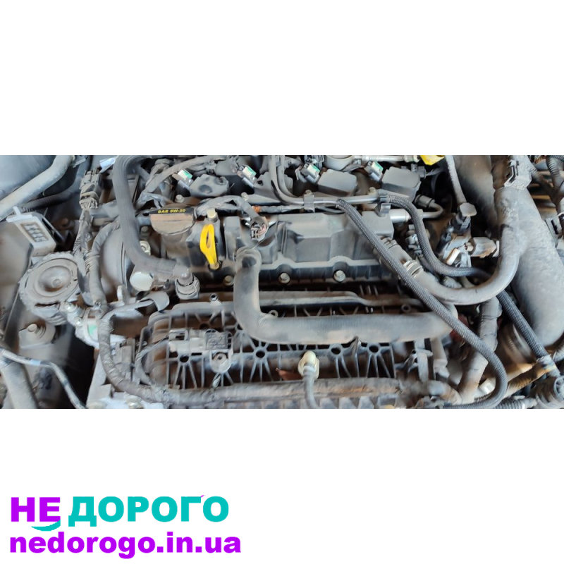Двигун Ford 1.5 EcoBoost для Escape та Fusion, 2019 рік, об'єм 1.5 л, бензин.