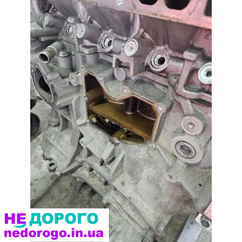 Двигун Ford Escape Ecoboost 2.0, модель 2021, об'єм 2.0 л, бензин.