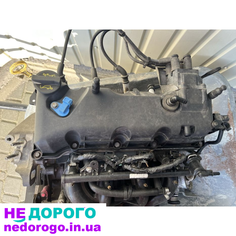 Двигун Ford Fiesta 1.3 2006, бензиновий, 1.3 л.