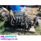 Двигун Ford FXSA 1.4 16V EFI для Fiesta, Focus, Fusion, випущений в Україні.