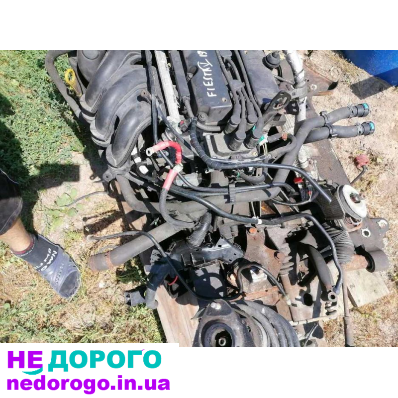 Двигун Ford FXSA 1.4 16V EFI для Fiesta, Focus, Fusion, випущений в Україні.