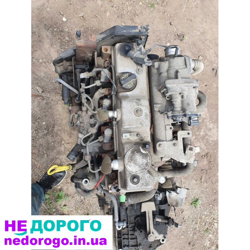 Двигун Ford Focus 2, Duratec-HE, 2005, 1.6 л, бензин.
