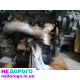 Двигун Ford Mondeo ST 200, Cougar, 2.5л V6, SGA, 1994, бензин.