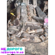 Двигун Ford Transit 2.4 TDI 2000-2006 p. 2.4 л дизель.