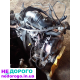 Двигун Ford Transit 2.5 дизель, модель 2000, об'єм 2.5 л, паливо - дизель.