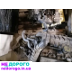 Двигун Ford TRANSIT MK5 2.0 TDCI, 2000 рік, дизель, 2.0 л.
