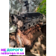Двигун Ford Transit 2.0 TDI 2000-2006, дизель, 2.0 л.