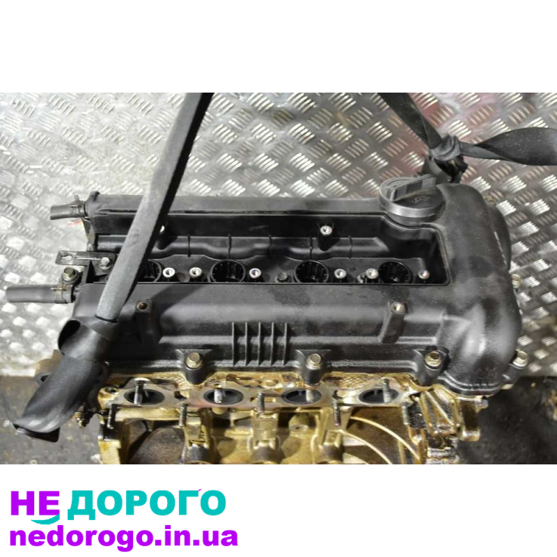 Двигун G4FA 1.4 16V Kia Ceed 2012 1.4 бензин
Двигун G4LA 1.2 16V Hyundai i20 2014 1.2 бензин
Двигун G4FA 1.4 16V Hyundai i30 2013 1.4 бензин
Двигун G4FA 1.4 16V Kia Soul 2015 1.4 бензин
Двигун G4FA 1.4 16V Kia Cerato 2011 1.4 бензин