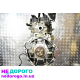 Двигун G4FA 1.4 16V Kia Ceed 2012 1.4 бензин
Двигун G4LA 1.2 16V Hyundai i20 2014 1.2 бензин
Двигун G4FA 1.4 16V Hyundai i30 2013 1.4 бензин
Двигун G4FA 1.4 16V Kia Soul 2015 1.4 бензин
Двигун G4FA 1.4 16V Kia Cerato 2011 1.4 бензин