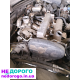 Двигун Opel Vectra B 1.8 X18XE, 1995, 1.8 л, бензин.