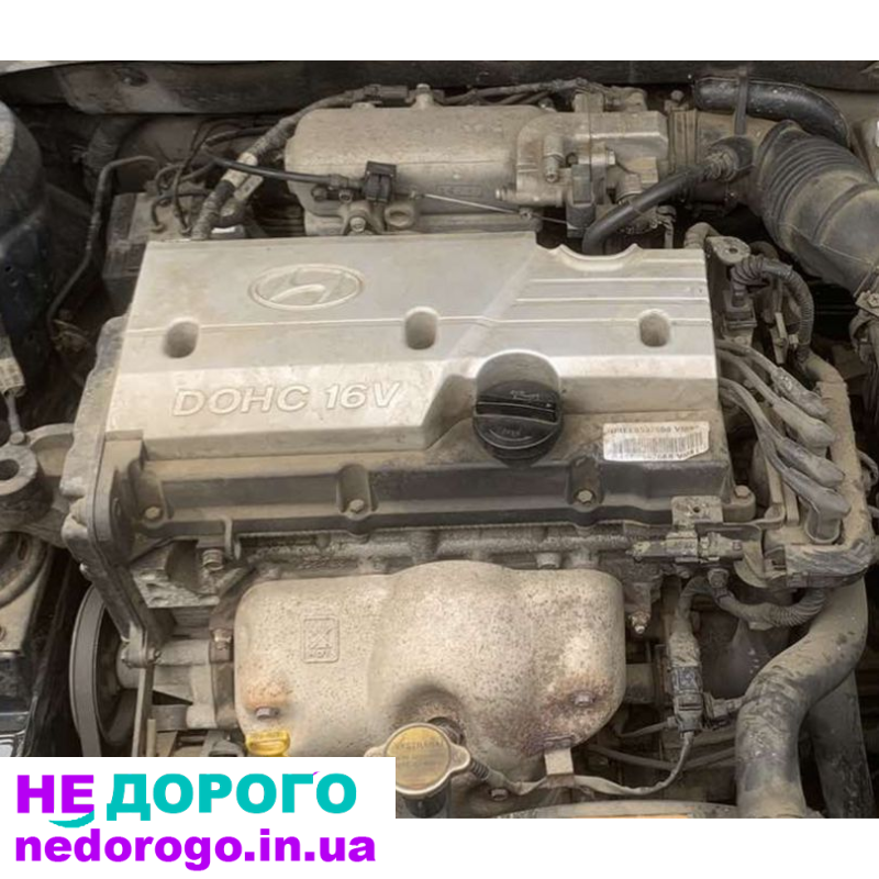 Двигун G4EE, G4ED для Hyundai Accent, Getz, Kia Rio, 2005-2011, 1.4-1.6 л, бензин.