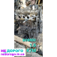 Двигун K7M 1.6 Renault Scenic 2003, бензин Laguna Logan Clio Kangoo.
