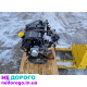 Двигун K9K 1.5 або 1.9 Renault Kangoo Megane Scenic Trafic Clio. Виробництво Renault. Дизельне паливо.