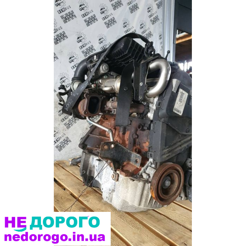 Двигун Renault K9K W718 1.5 DCI для Kangoo, випущений в Україні.