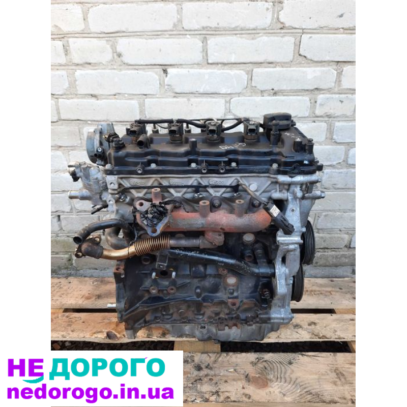 Двигун Hyundai 1.7 CRDI D4FD для Kia Sportage 3, ix35, i40. Об'єм 1.7 л, дизельне паливо.