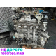 Двигун Opel Astra K 1.6cdti A317, LWQ, 2016, 1.6 л дизель.