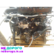Двигун MAN LE 8.180 L2000, 2005 рік, 4.6 л, дизель.